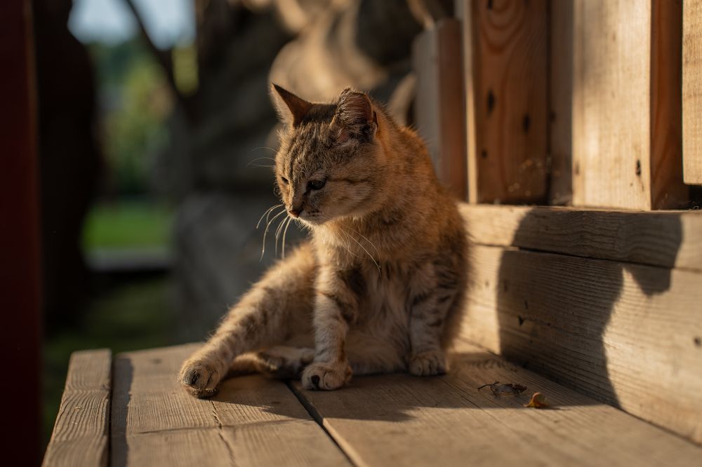 Photograph by Olesya Vladimirova