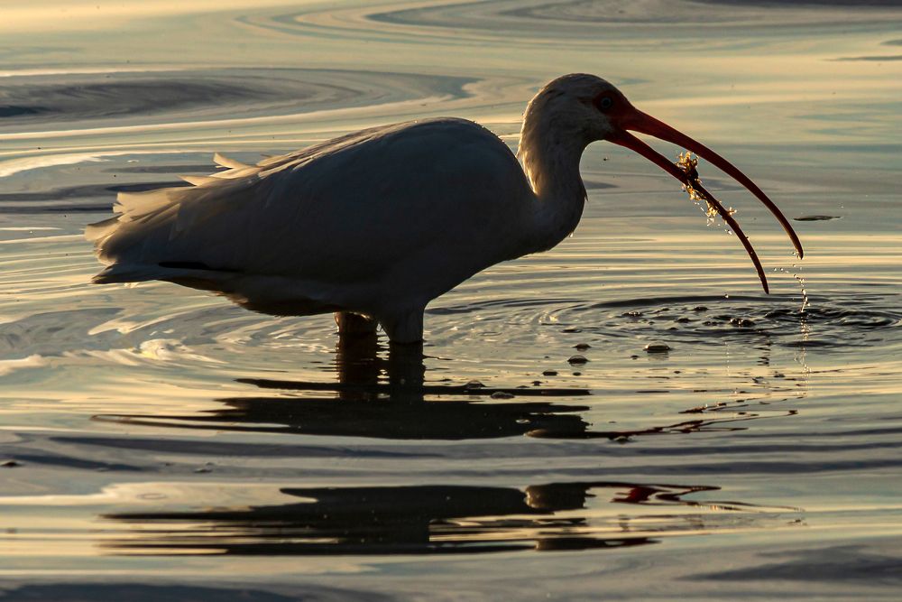 Photograph by Jorge Ivan Vasquez