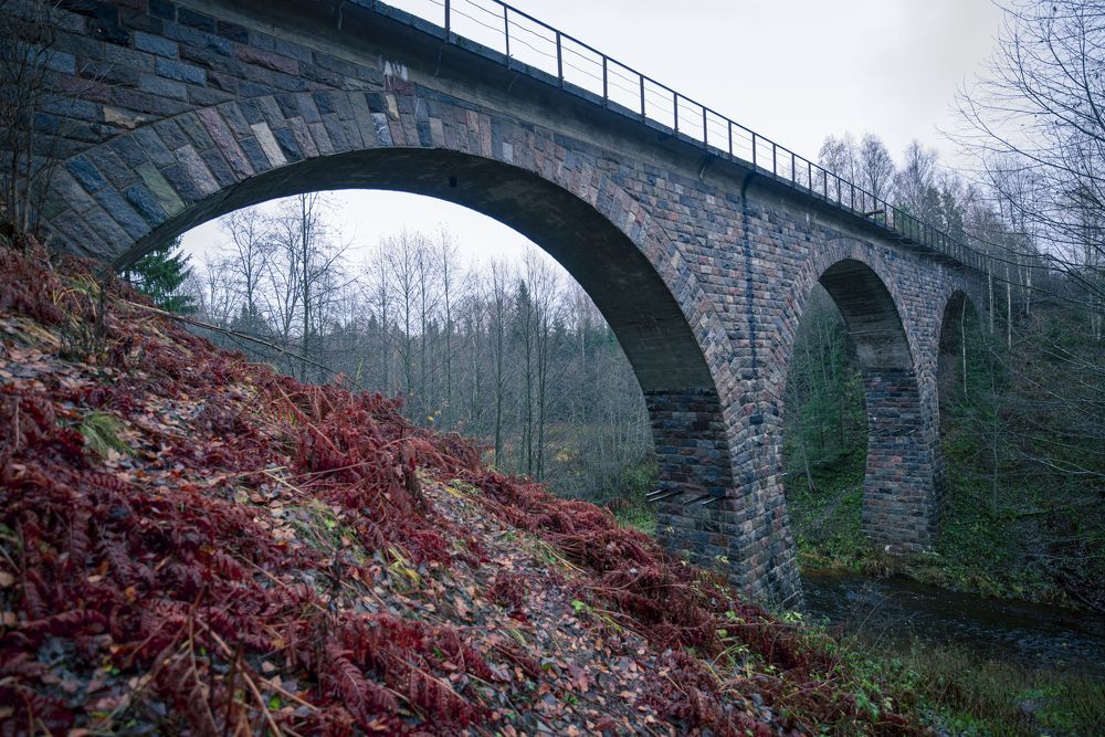 Photograph by Мария