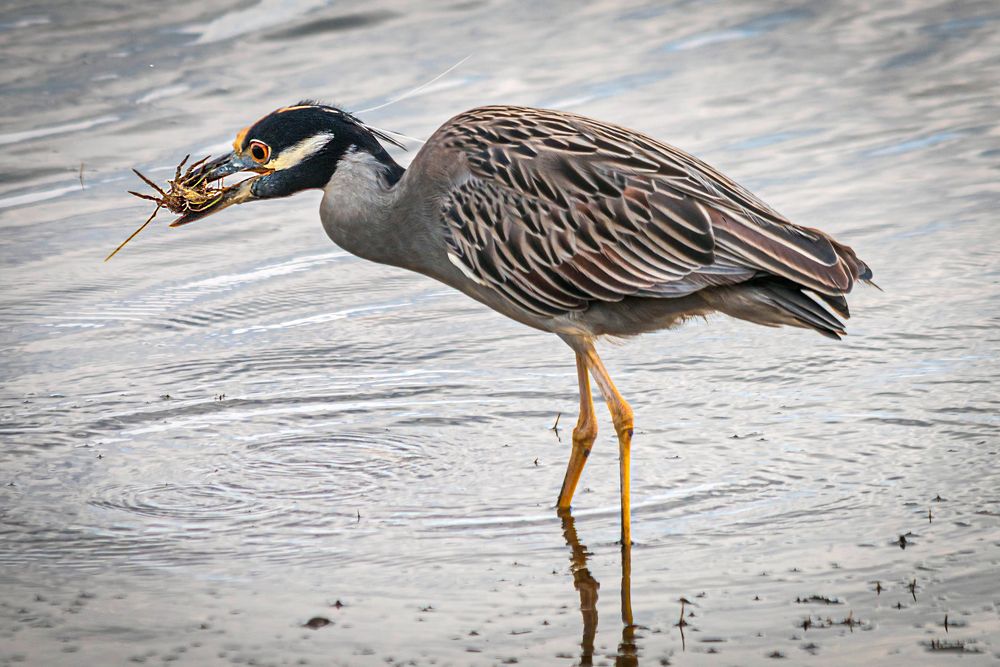 Photograph by Jorge Ivan Vasquez