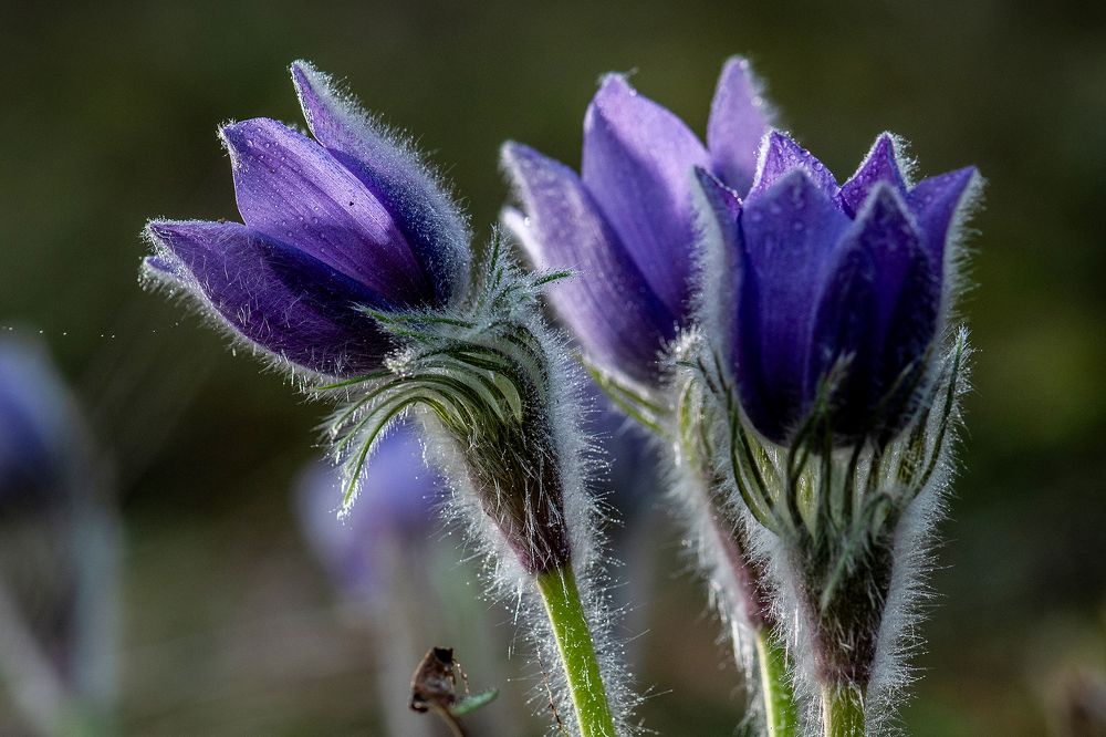 Photograph by Silvija Danelsone