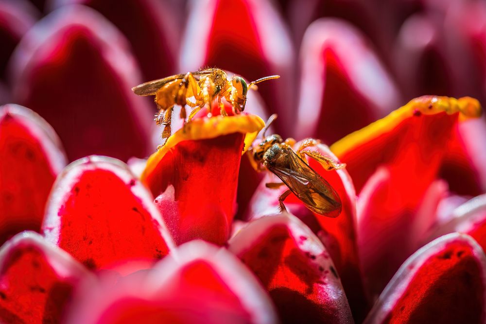 Photograph by Jorge Ivan Vasquez