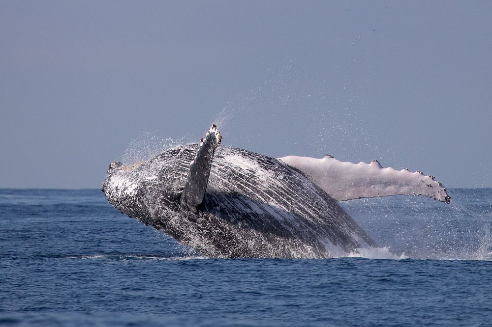 Photograph by Ангелина Ильичева