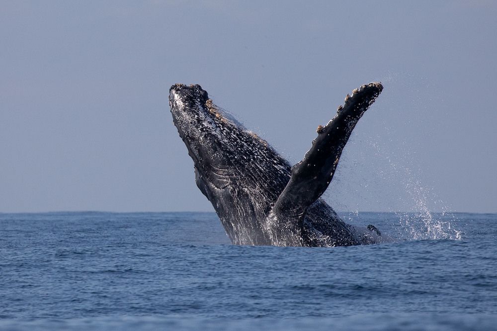 Photograph by Ангелина Ильичева