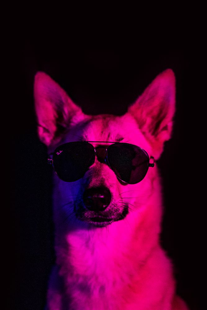 Photograph by Мария