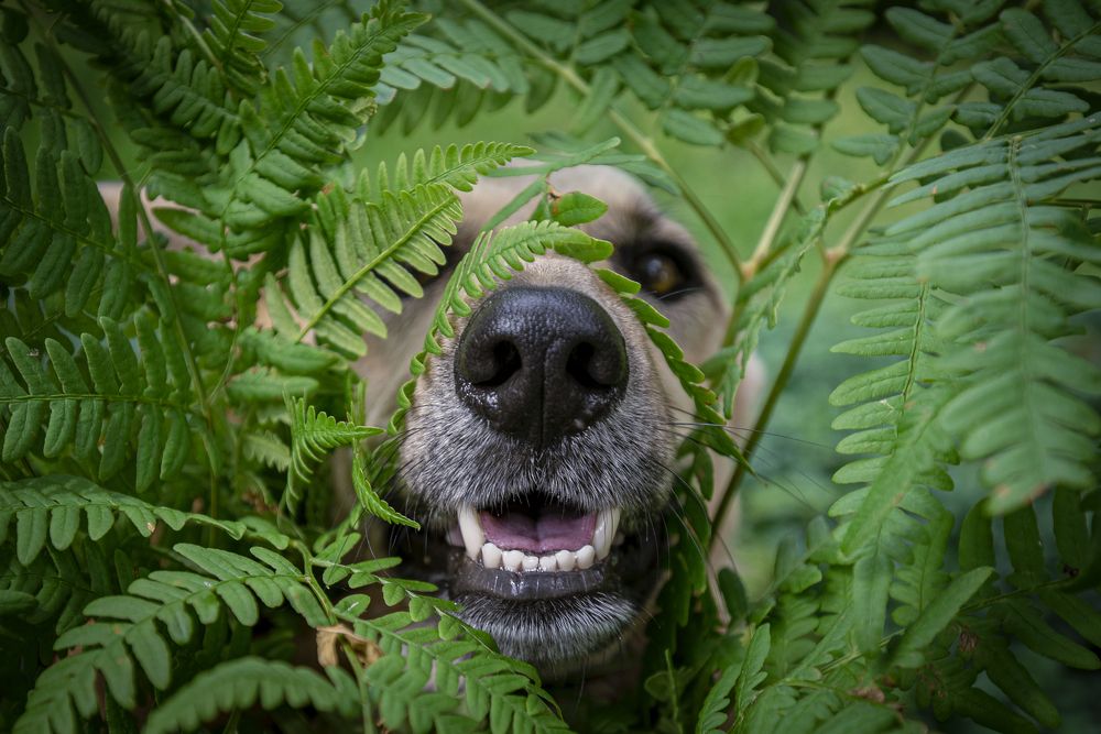 Photograph by Мария