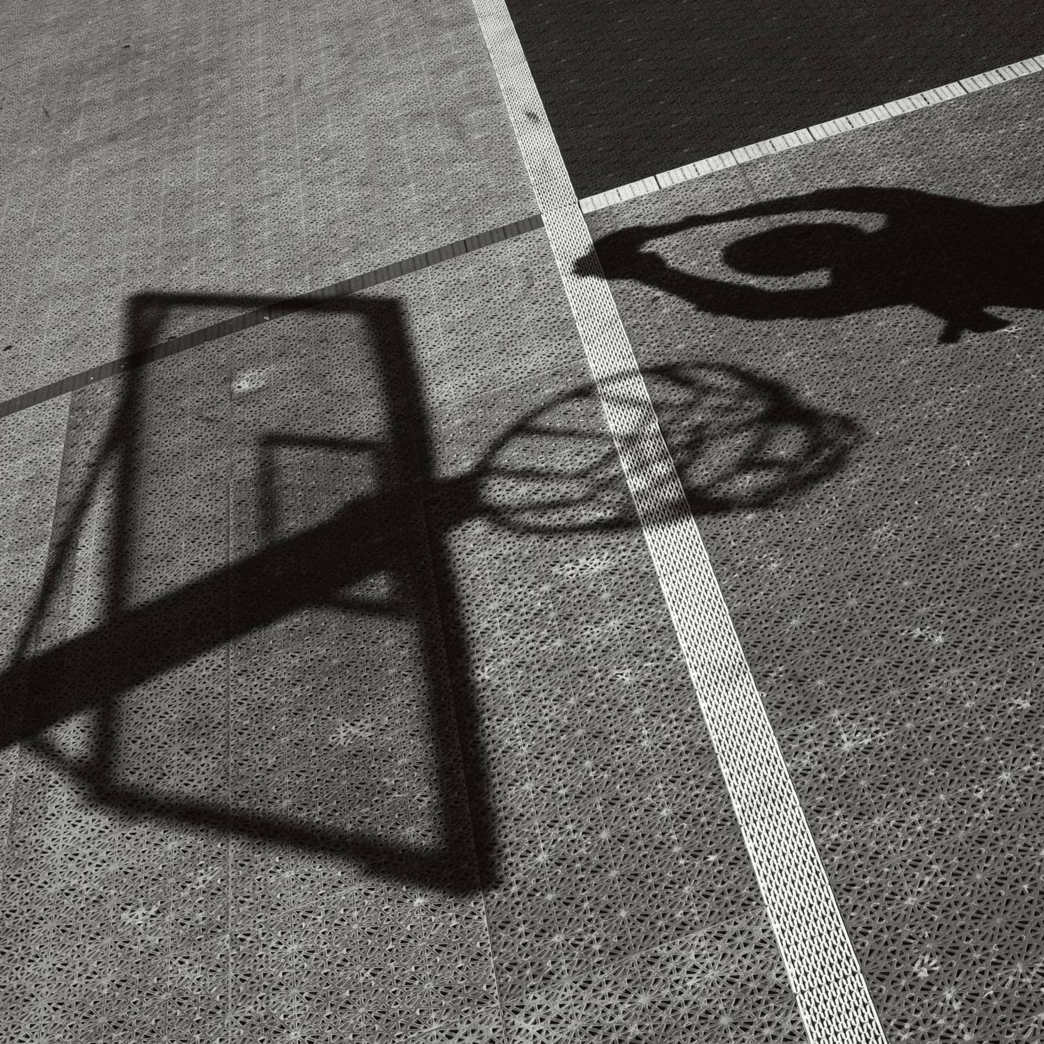 Фотография #10956277