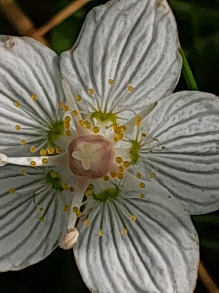 Photograph by Виталий