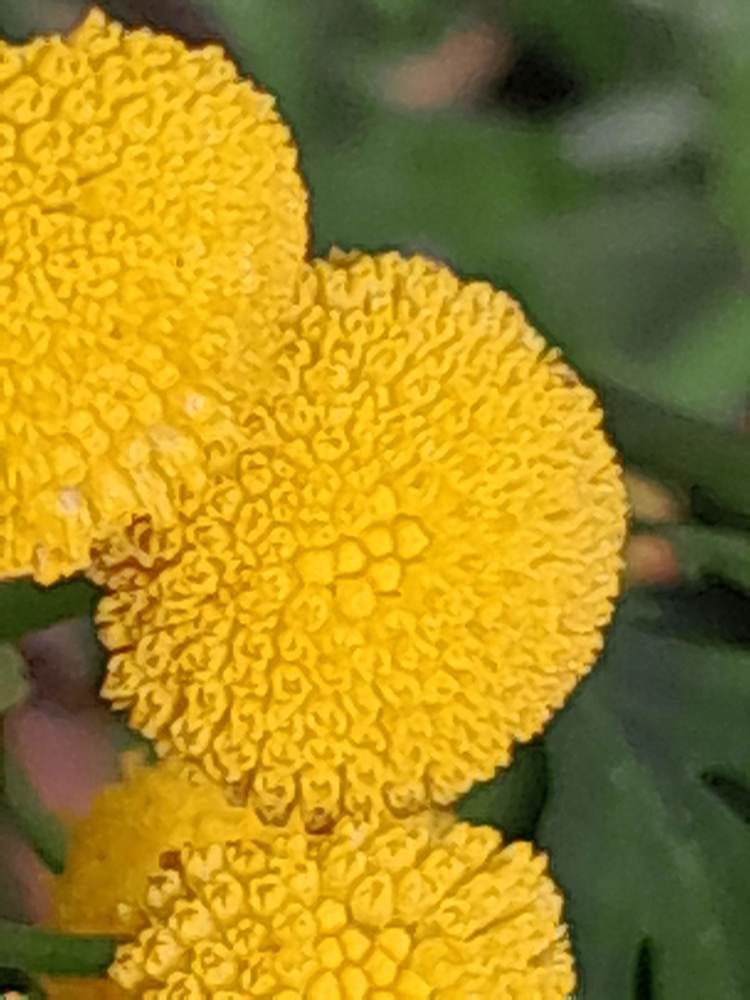 Photograph by Виталий