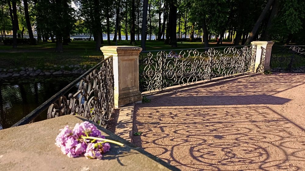 Photograph by Людмила Викулова