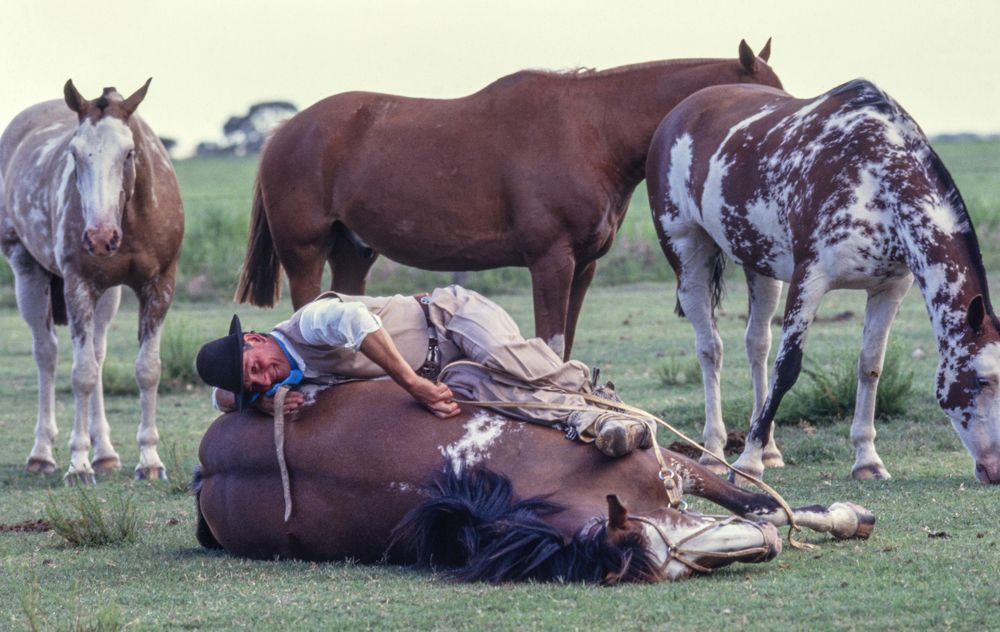 Photograph by gustavo gatto