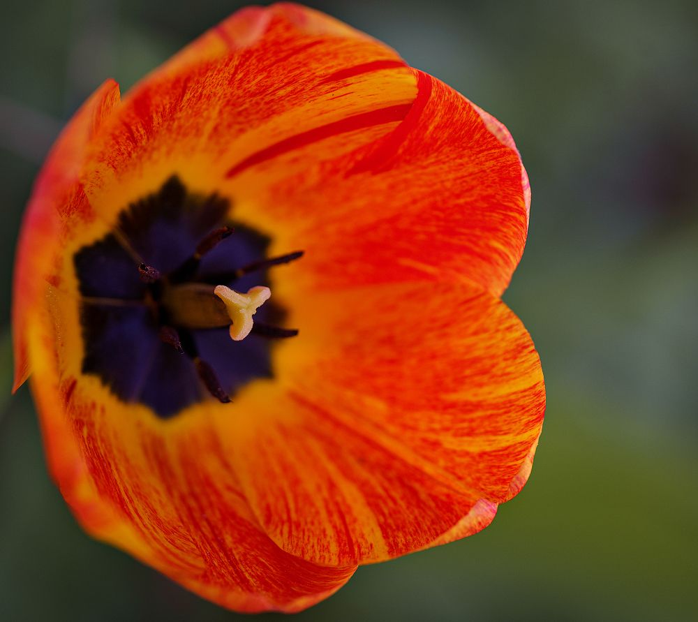 Photograph by Anna Sindikayeva