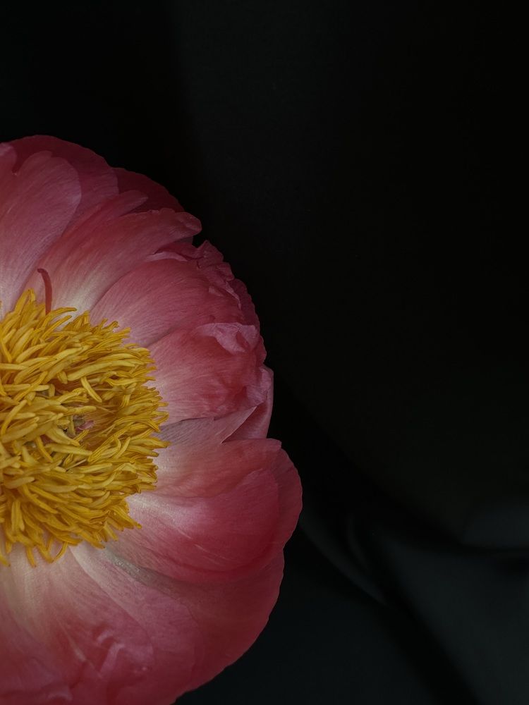 Photograph by Екатерина Мирошникова