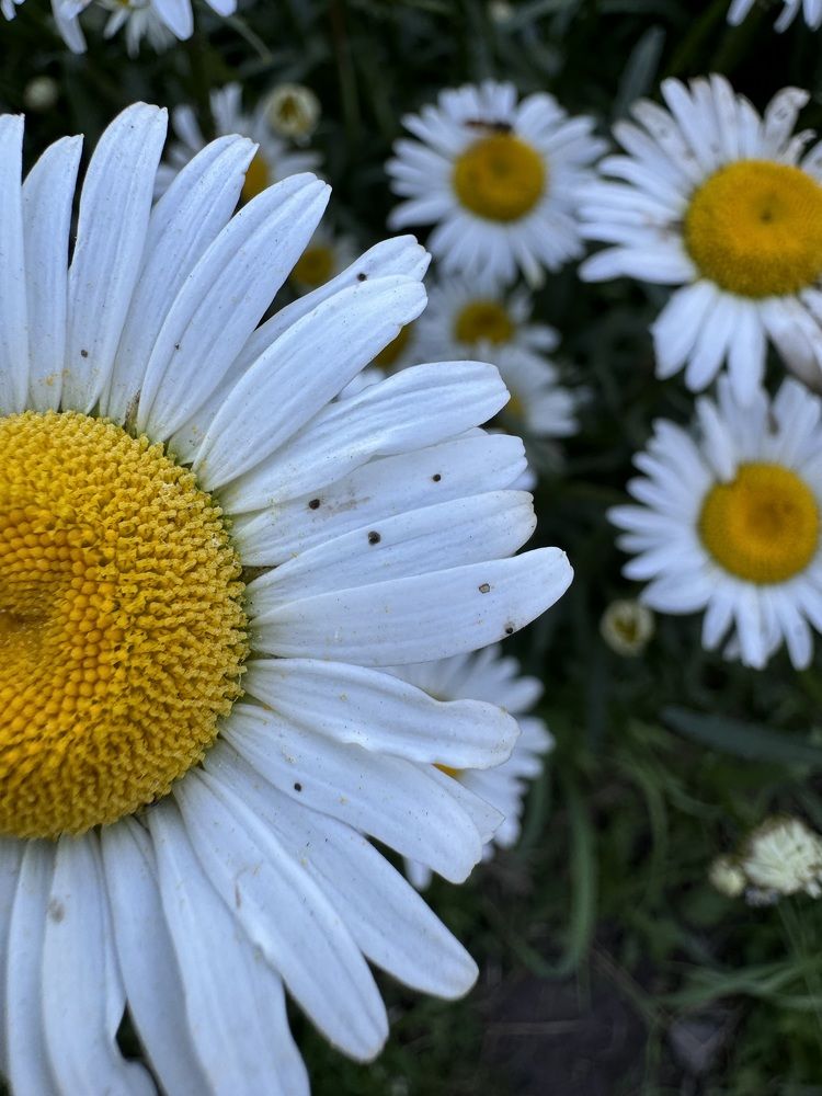 Photograph by Екатерина Мирошникова