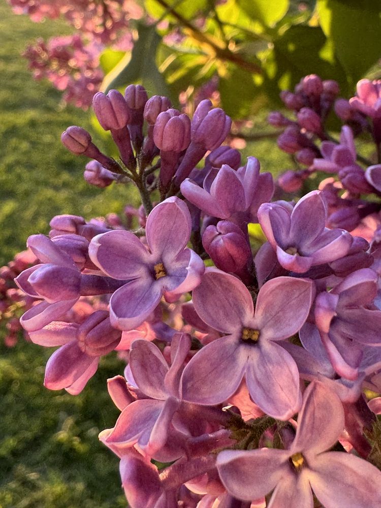 Photograph by Екатерина Мирошникова