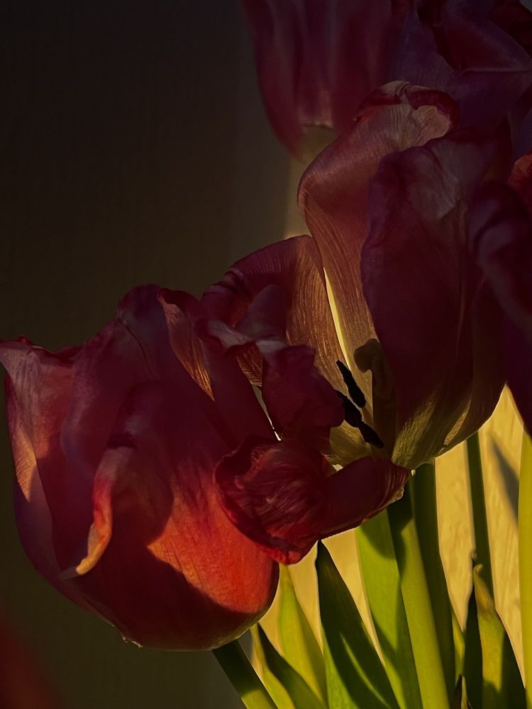 Photograph by Екатерина Мирошникова