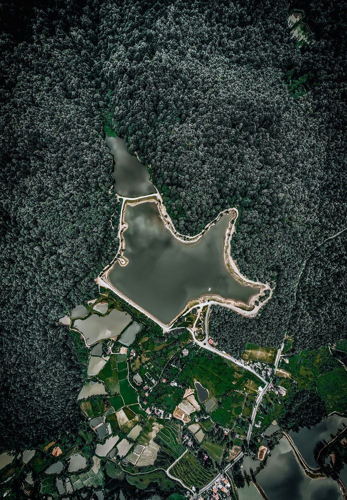 Фотография автора Reza Rafizadeh