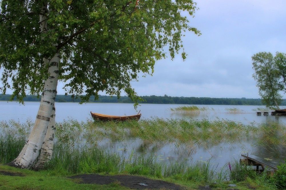 пасмурный день