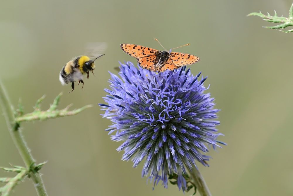 Photograph by Алексей Volg