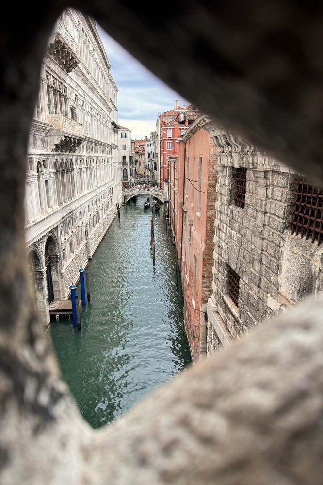 Photograph by Александр Шандов