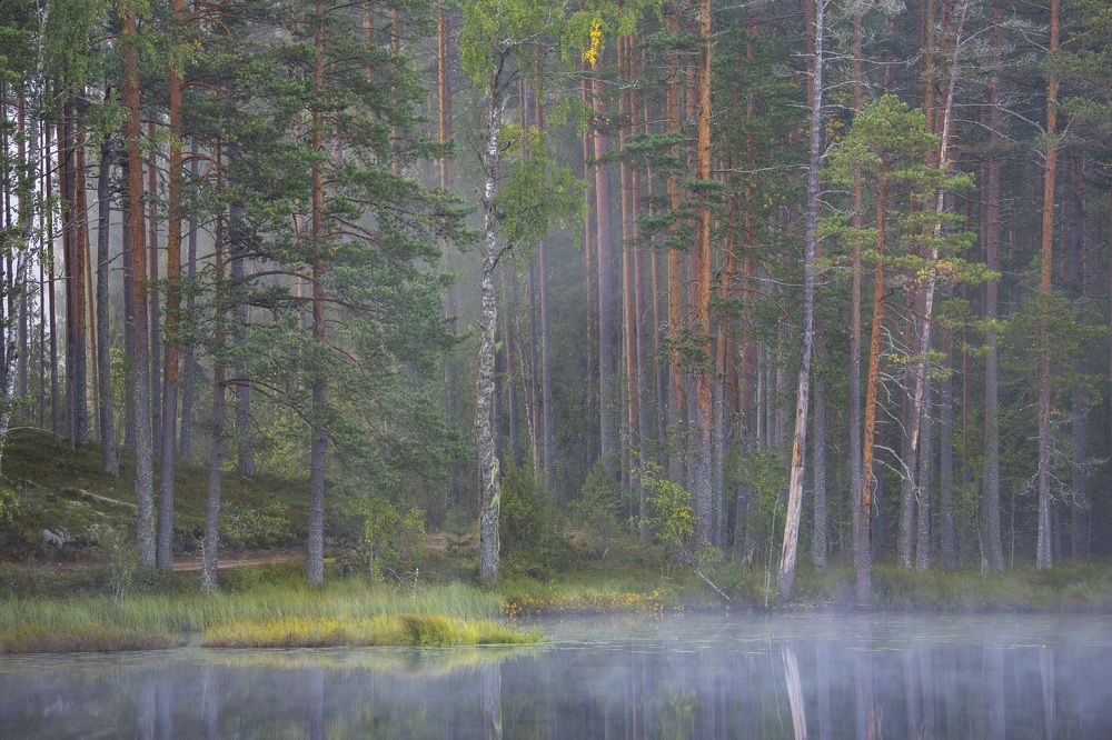 Photograph by Максим Григорьев