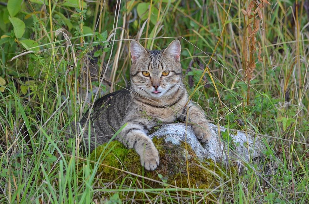 Photograph by Галина Катанова