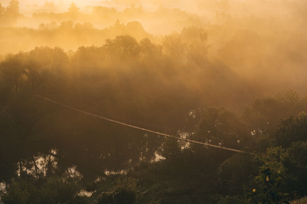 Photograph by Полина Родинс