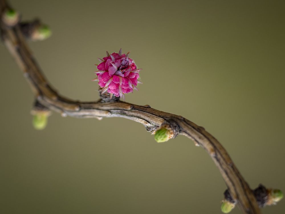 Photograph by Курлянцев Алексей