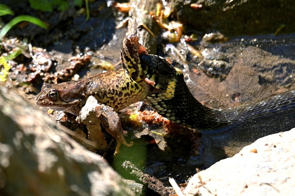 Photograph by Алексей Гордеев