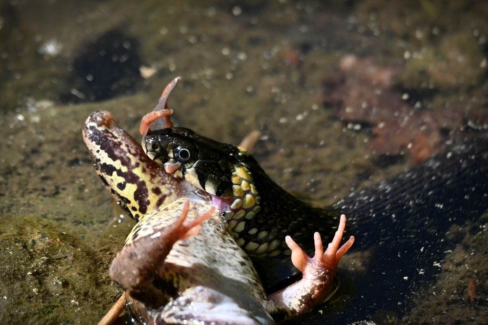 Photograph by Алексей Гордеев