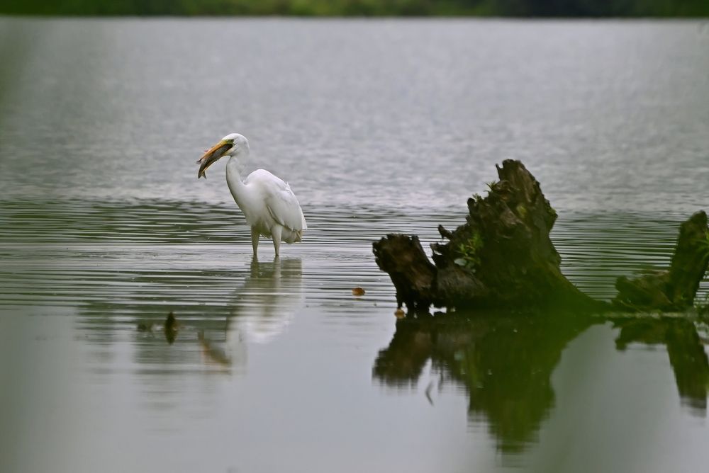 Photograph by Алексей Гордеев