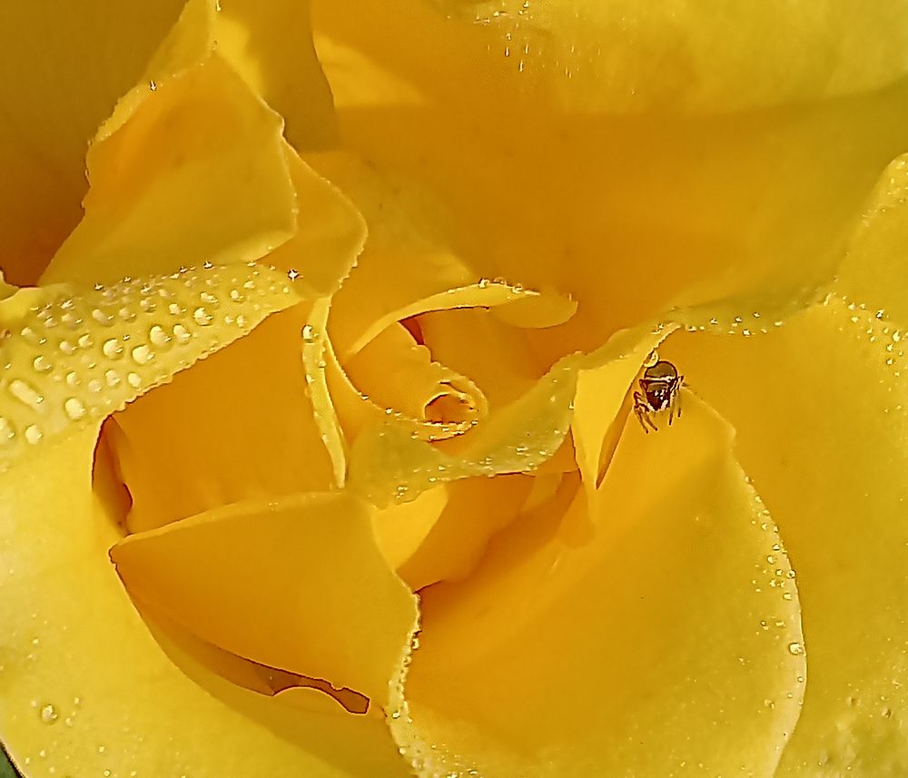 Photograph by Ирина Архипова