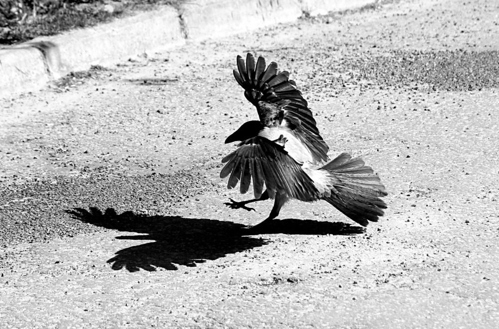 Photograph by Татьяна Слесарева