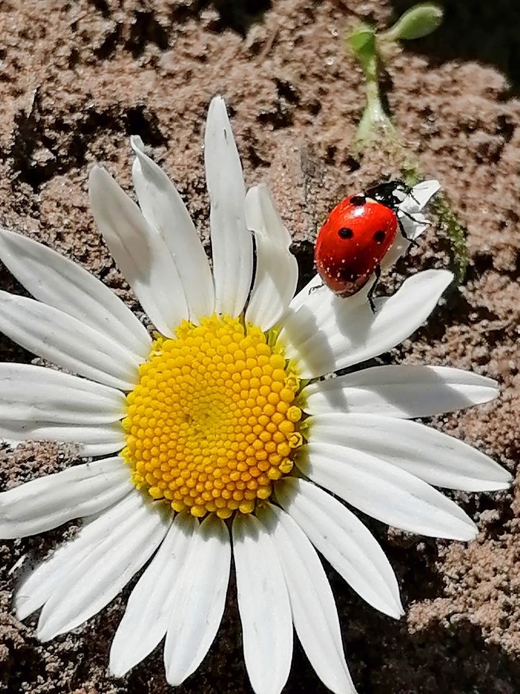 Photograph by Татьяна Бешенкина