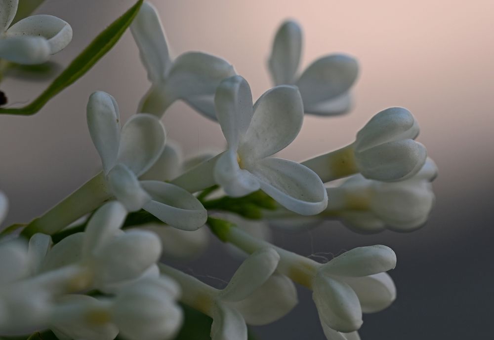 Photograph by Алексей Гордеев