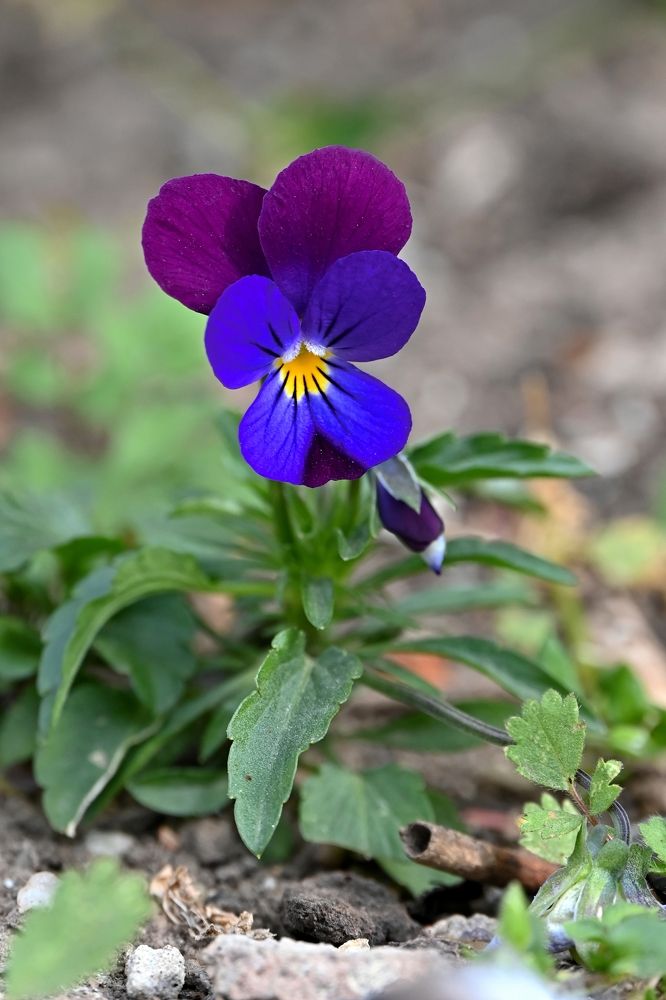 Photograph by Алексей Гордеев