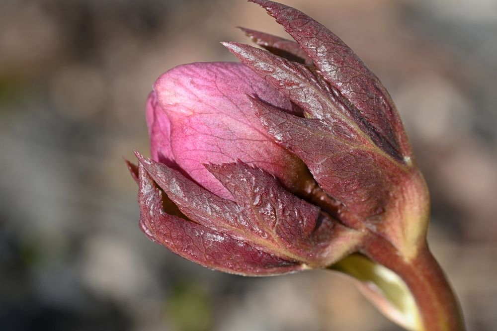 Photograph by Алексей Гордеев