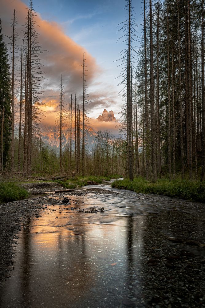 Фотография автора Paolo Barbarini