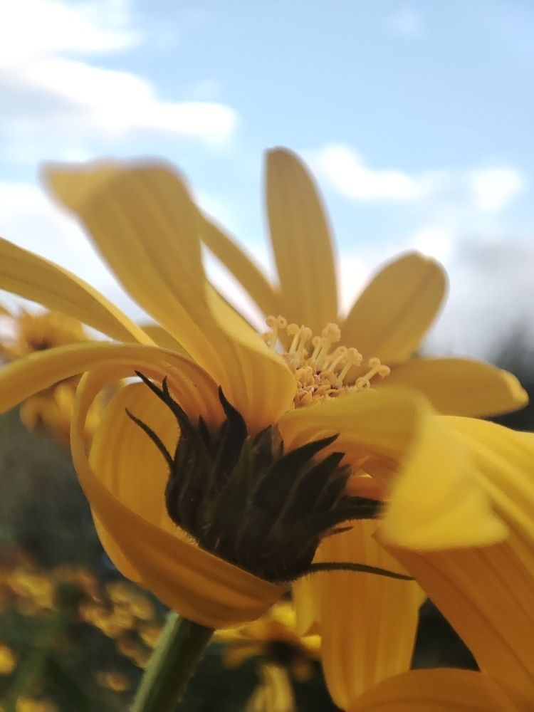 Photograph by Анастасия Кудина