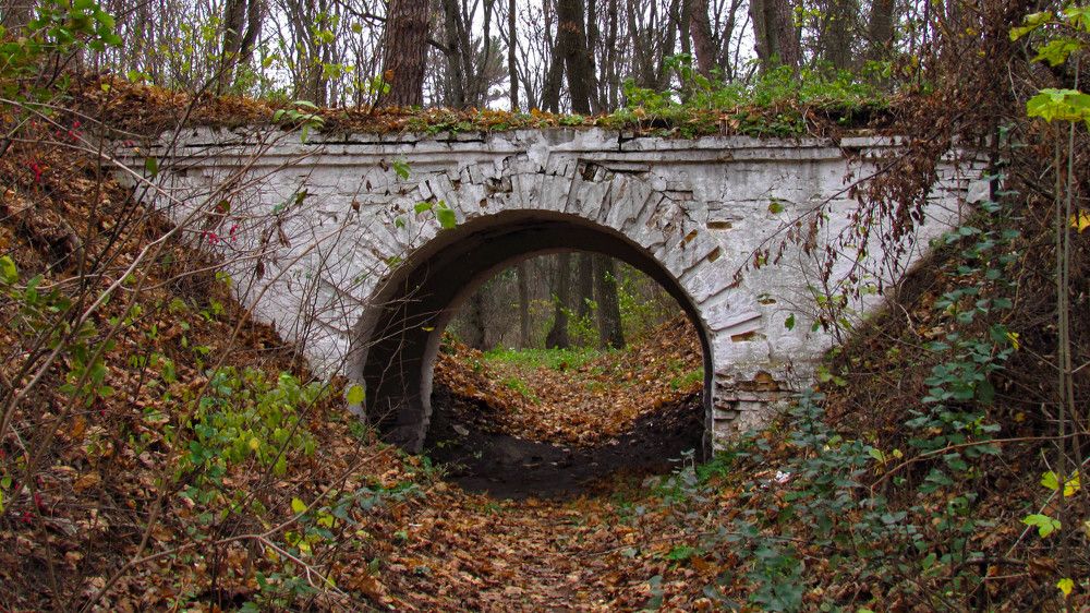 Фотография автора Александр Довганюк