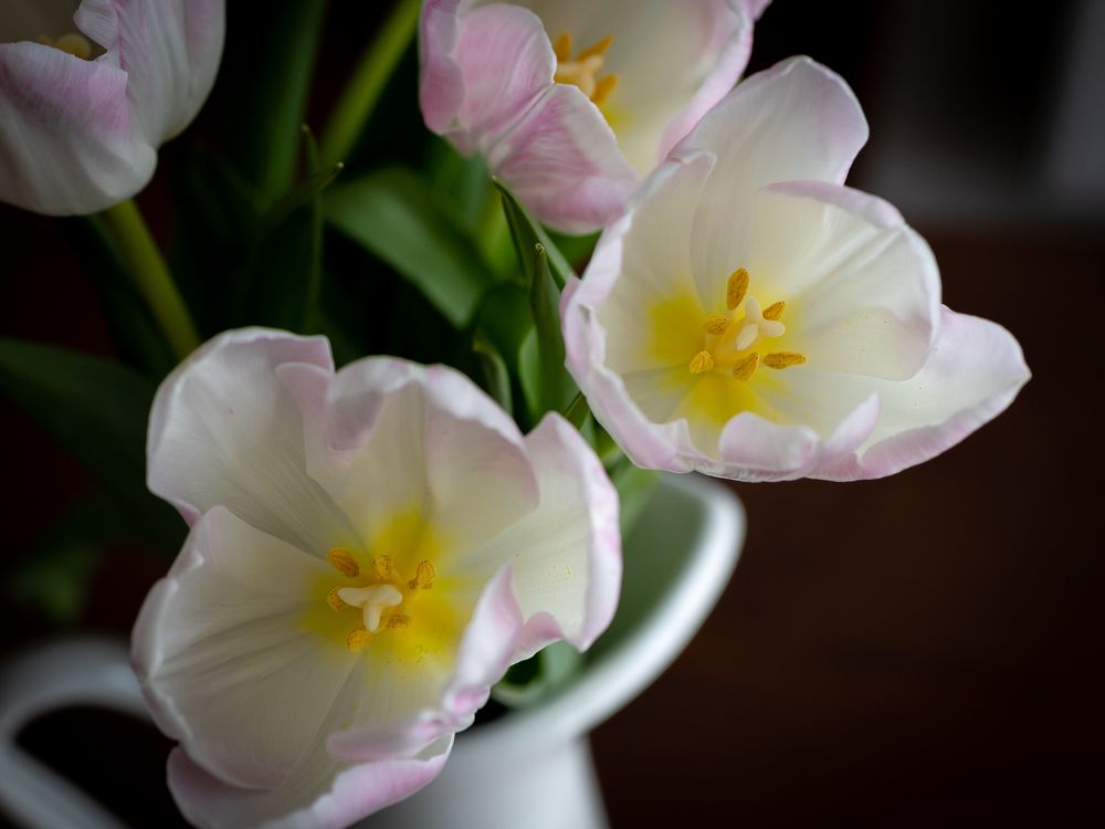 Photograph by Олег Дорошенко