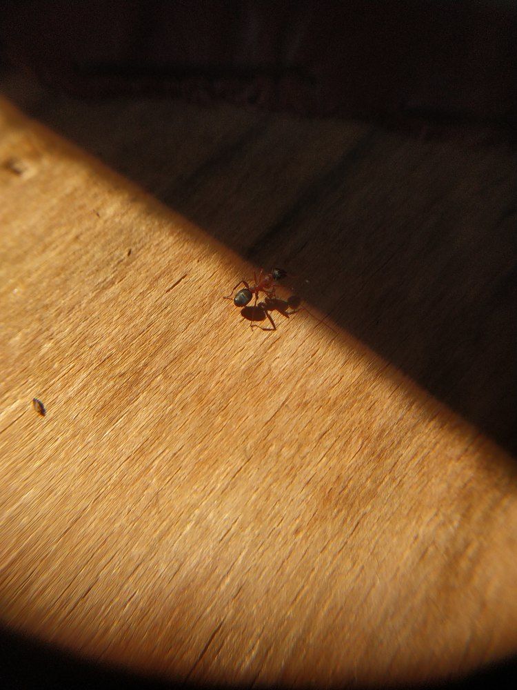 Photograph by Анастасия Кудина