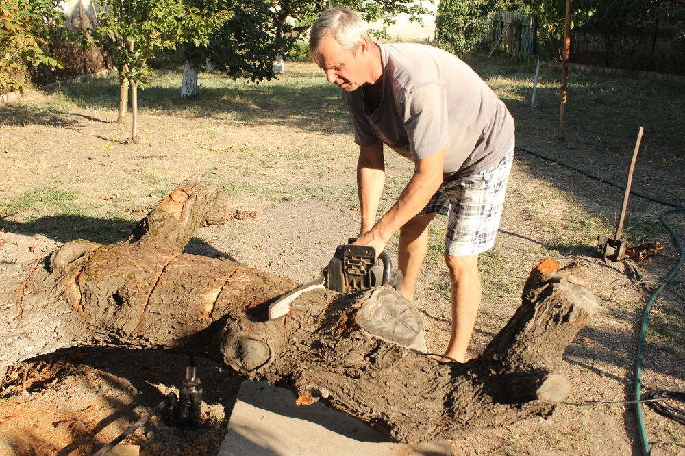 Photograph by Светлана Зотова