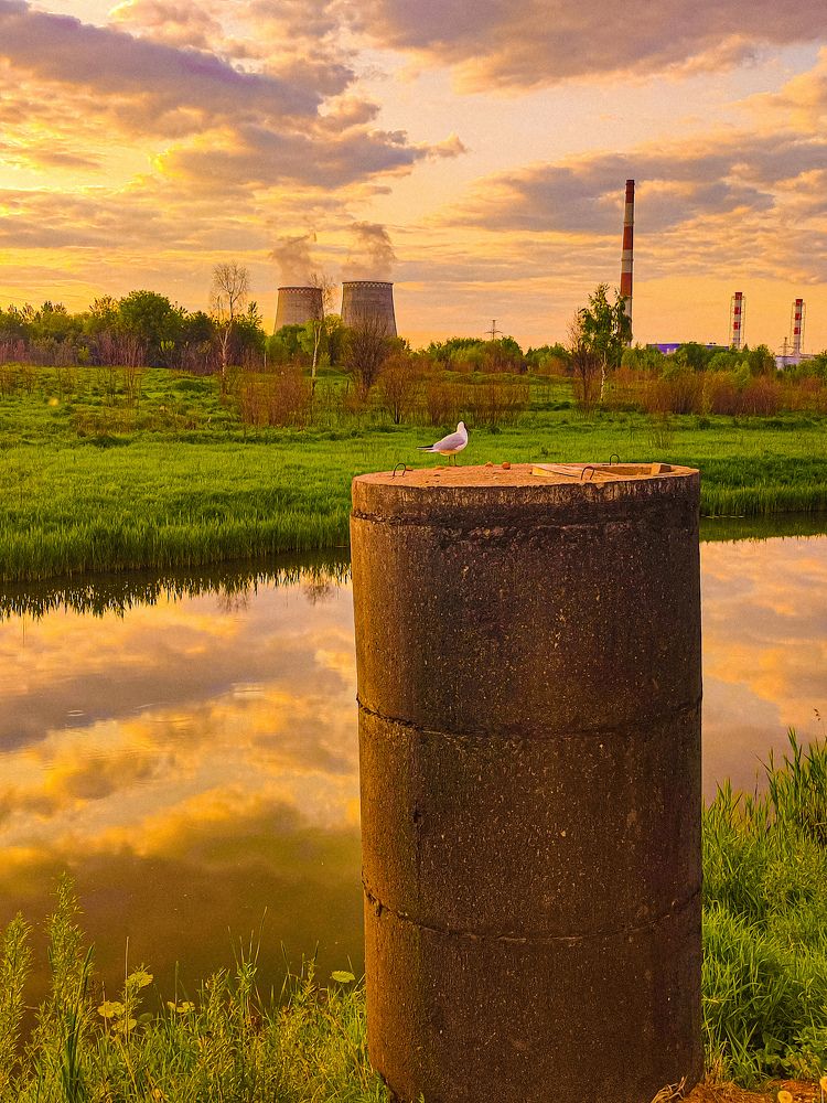 Фотография автора Нина Зинченко