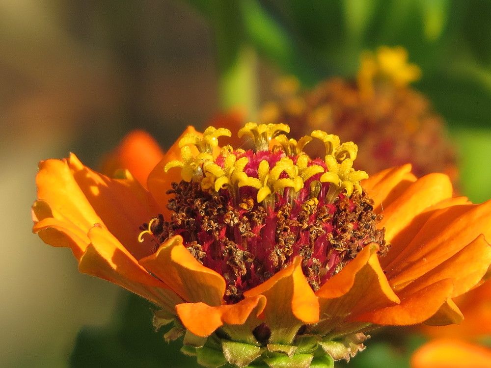 Photograph by Лариса Басова