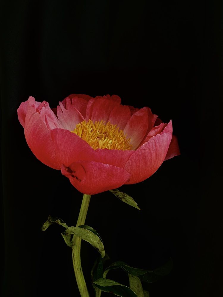 Photograph by Екатерина Мирошникова