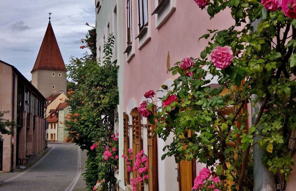 Photograph by backareva irina