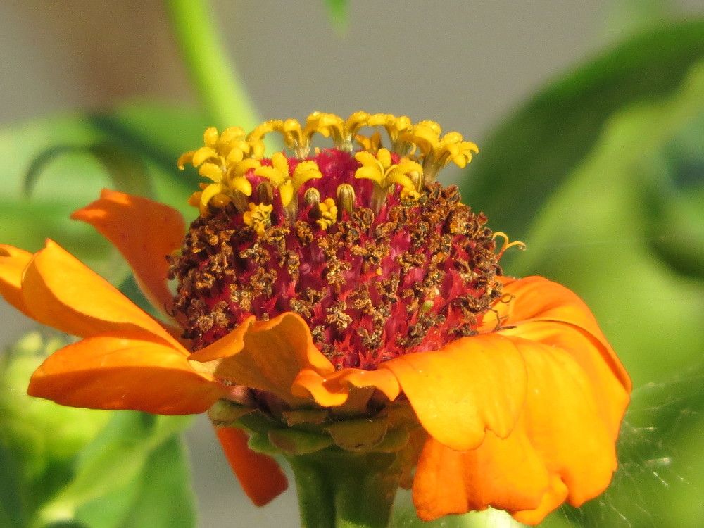 Photograph by Лариса Басова