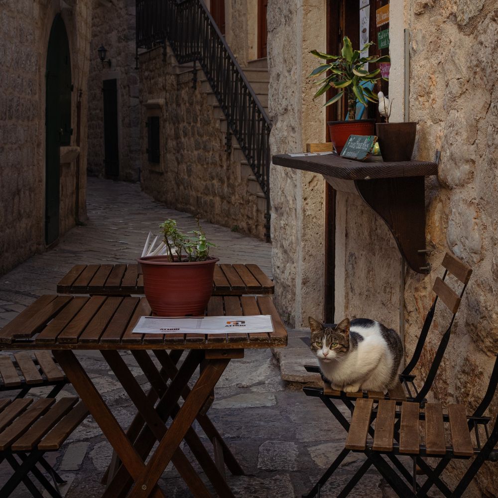 Photograph by Бочина Оксана