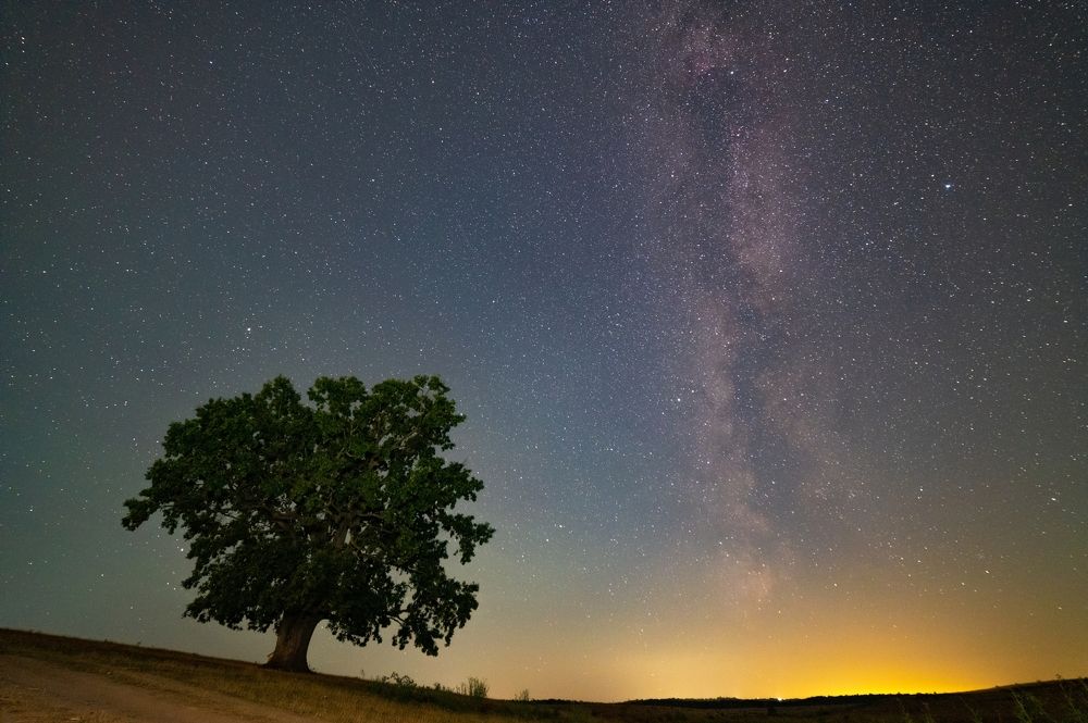 Photograph by Robert Barna